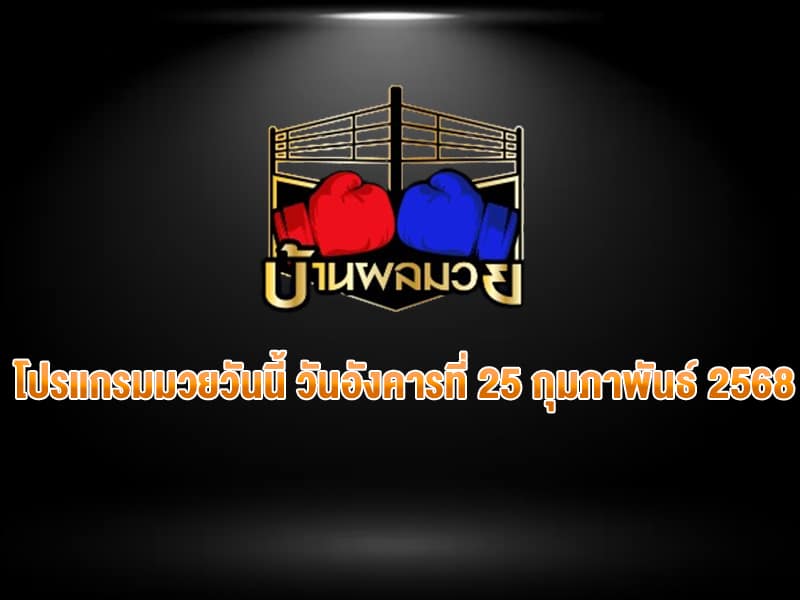 โปรแกรมมวยวันนี้